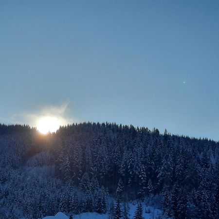 Gaestehaus Gamsblick Werfenweng Zewnętrze zdjęcie